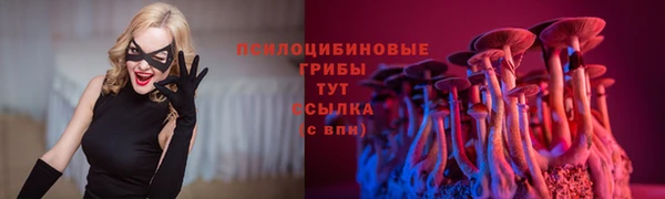 трава Михайловск