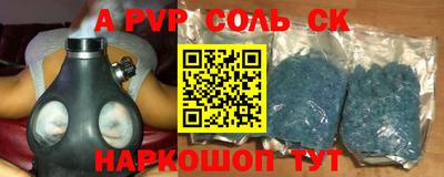 СК Бийск