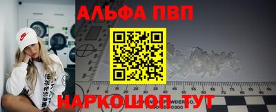 СК Бийск
