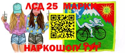 СК Бийск