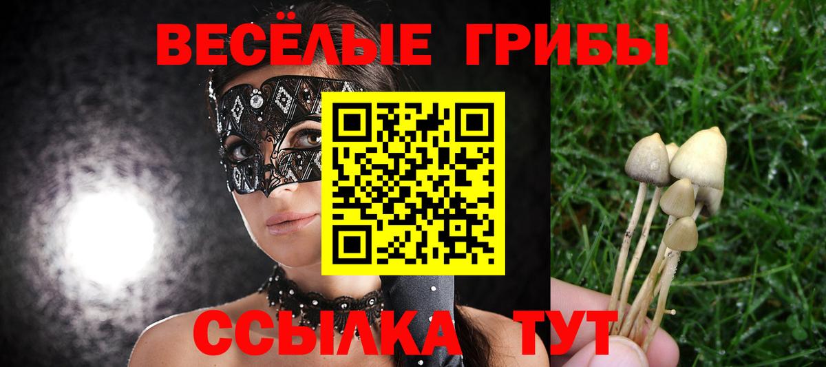 Галлюциногенные грибы Magic Shrooms  Псилоцибиновые грибы ЛСД  Вход с VPN  Чусовой 
